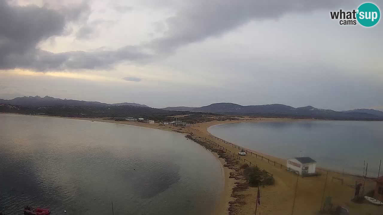 L’Isuledda webcam Isola dei Gabbiani – Porto Pollo – Palau – Sardegna