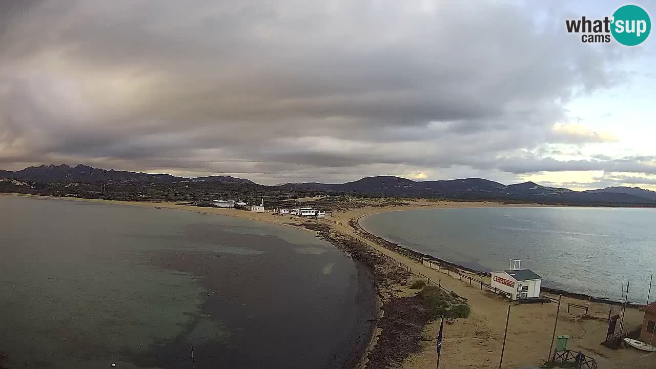 L’Isuledda webcam Isola dei Gabbiani – Porto Pollo – Palau – Cerdeña – Italia