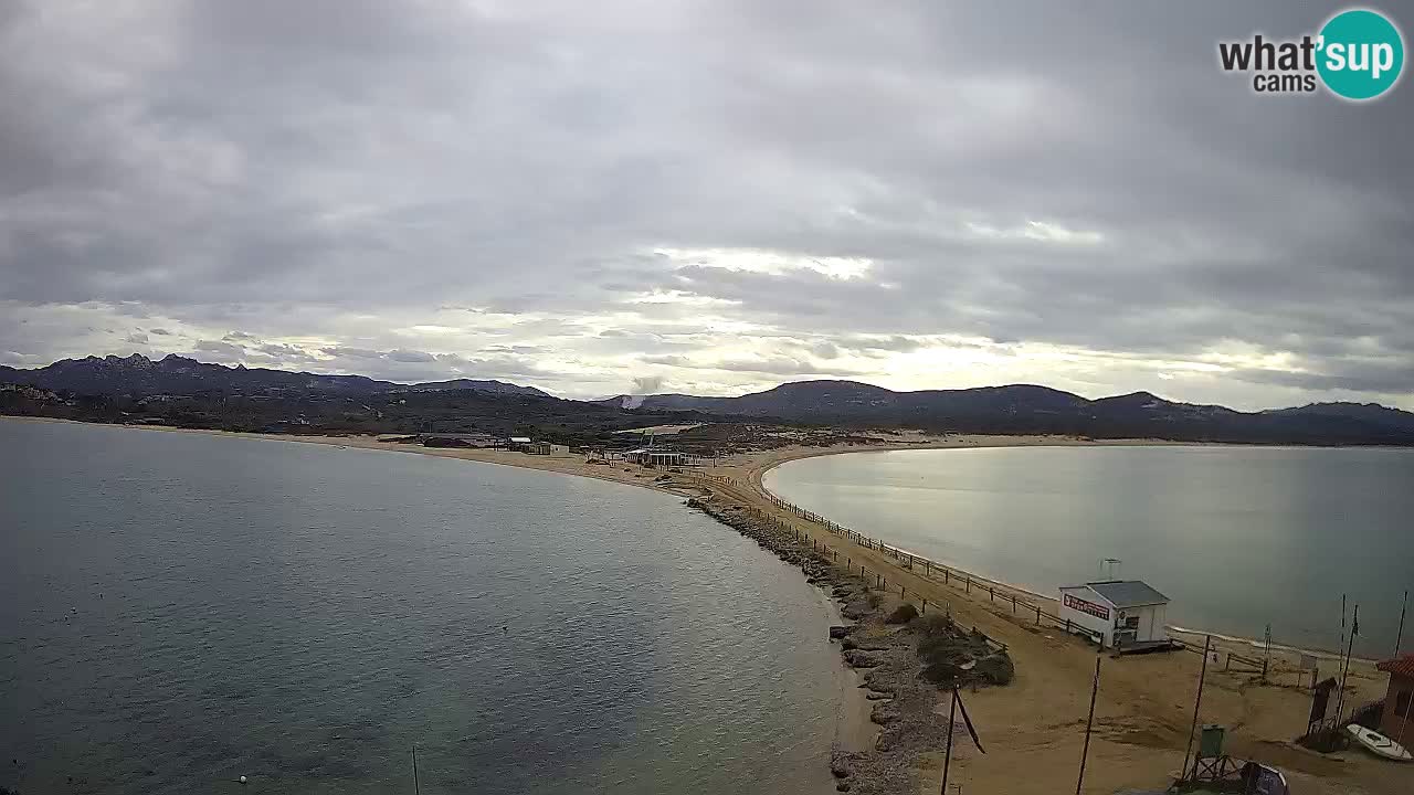 L’Isuledda webcam Isola dei Gabbiani – Porto Pollo – Palau – Sardegna