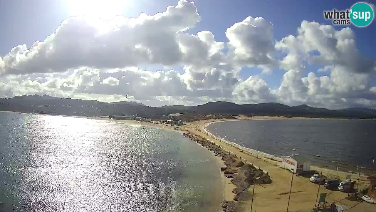 L’Isuledda webcam Isola dei Gabbiani – Porto Pollo – Palau – Cerdeña – Italia