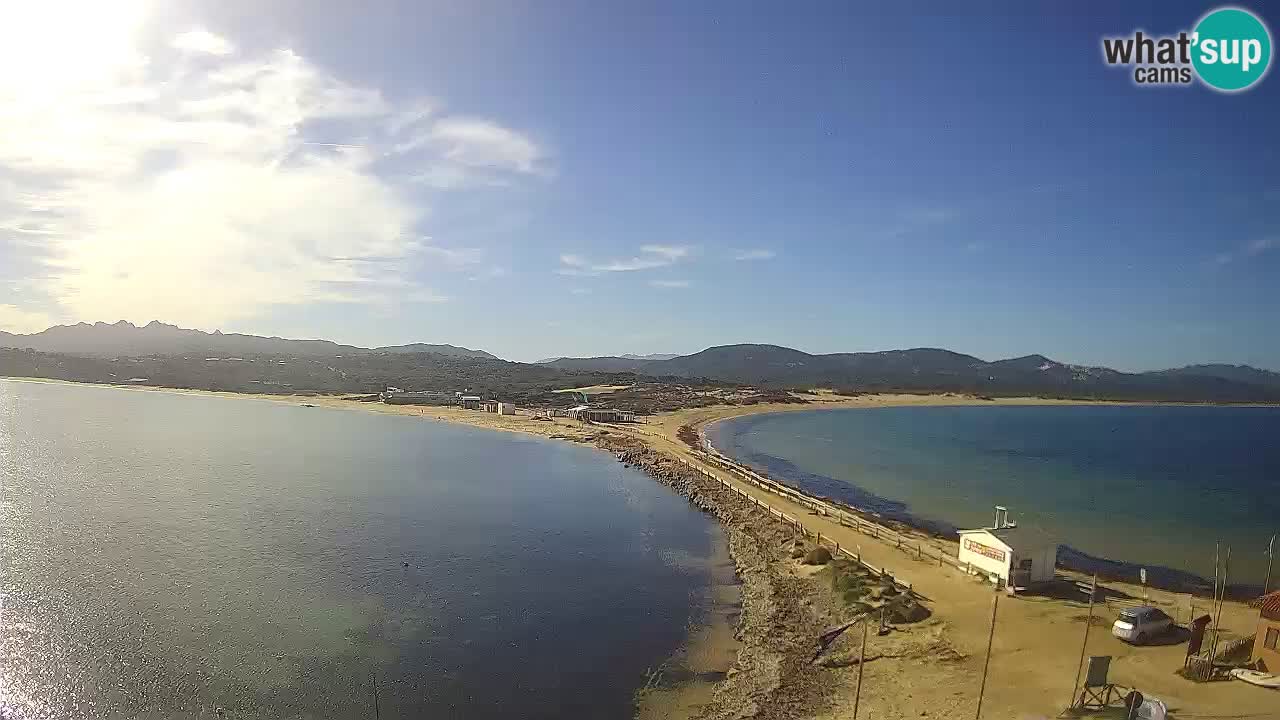 L’Isuledda webcam Isola dei Gabbiani – Porto Pollo – Palau – Cerdeña – Italia