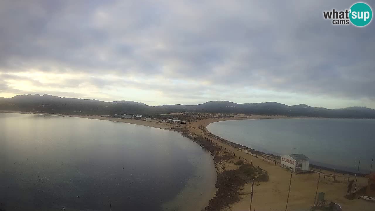 Livecam l’Isuledda – Isola dei Gabbiani – Porto Pollo – Palau – Sardaigne – Italie