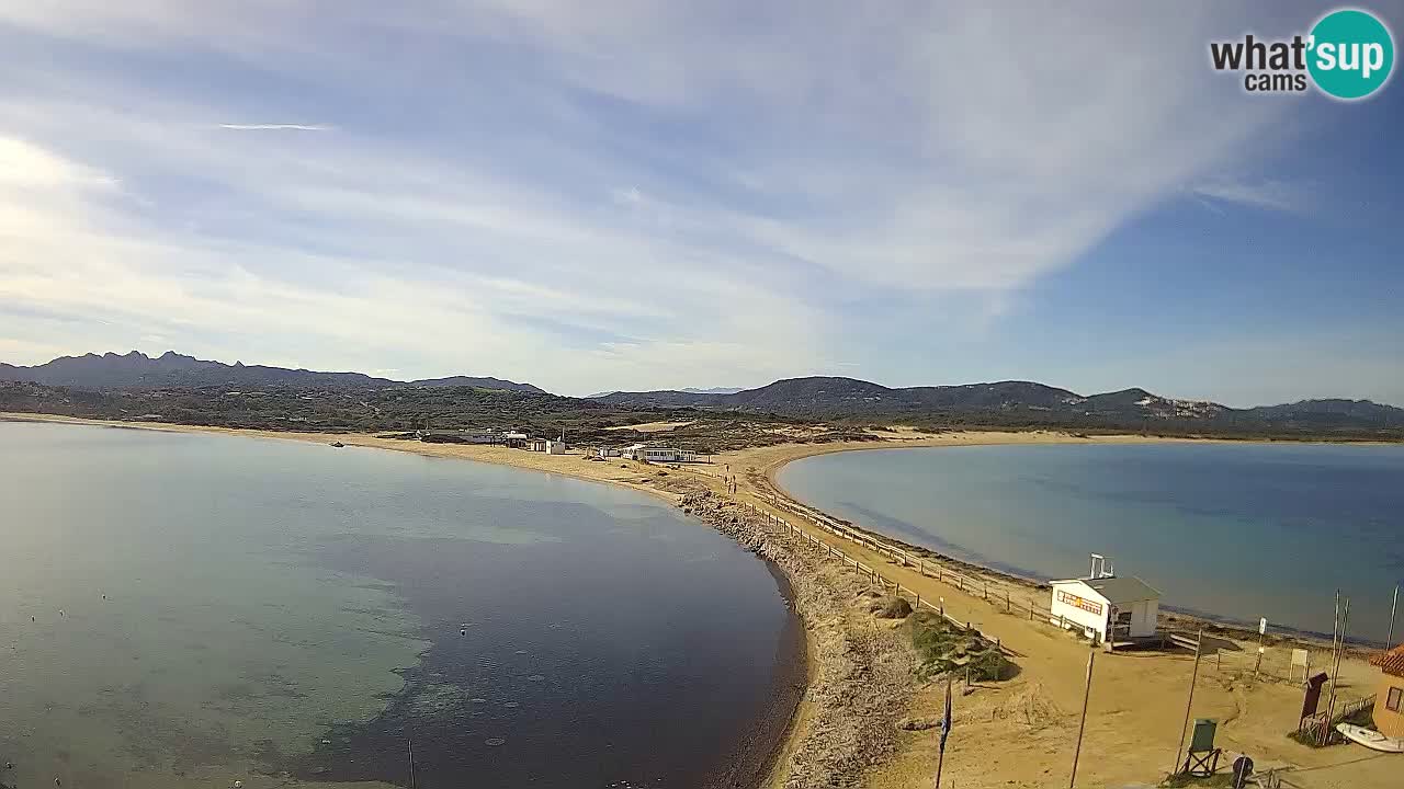 L’Isuledda webcam Isola dei Gabbiani – Porto Pollo – Palau – Sardegna