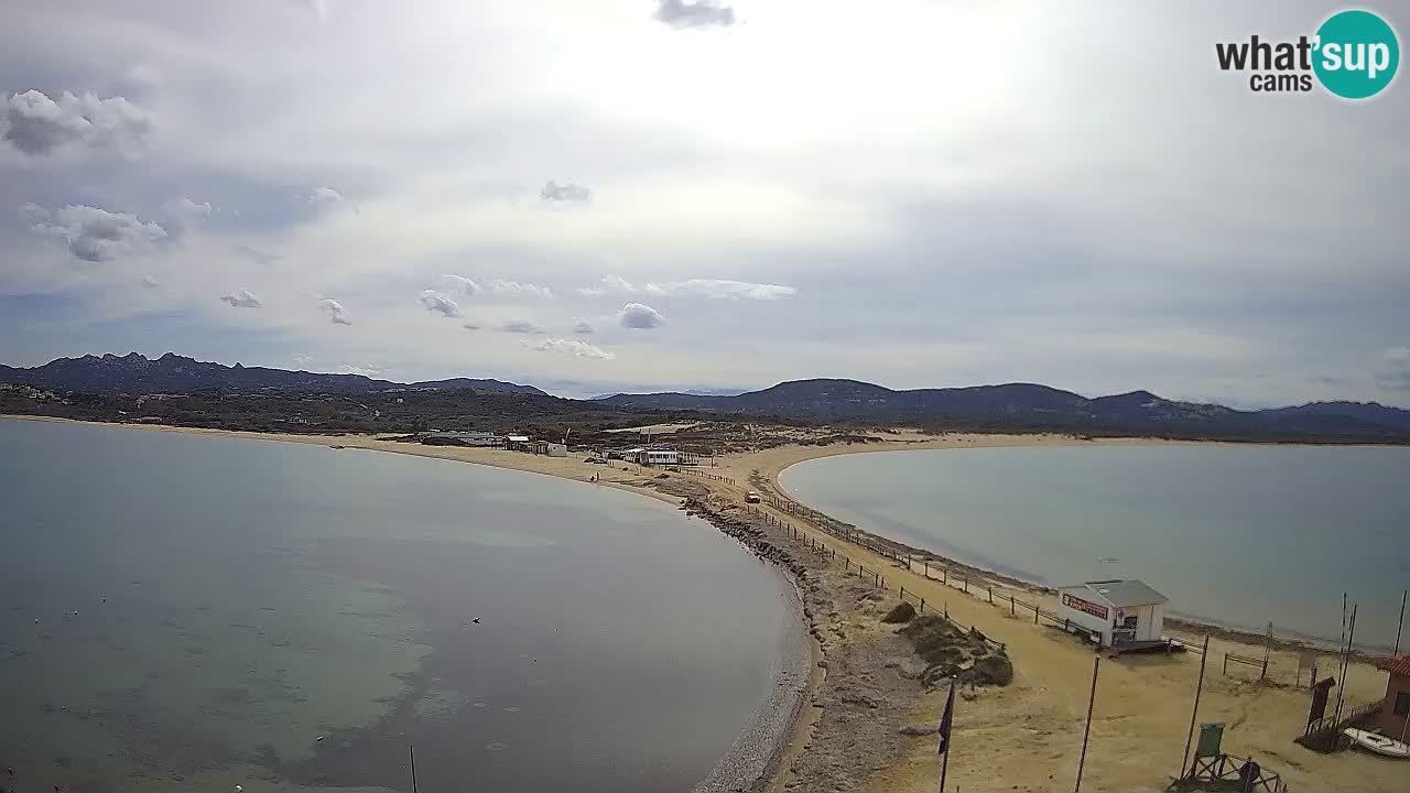 L’Isuledda webcam Isola dei Gabbiani – Porto Pollo – Palau – Cerdeña – Italia