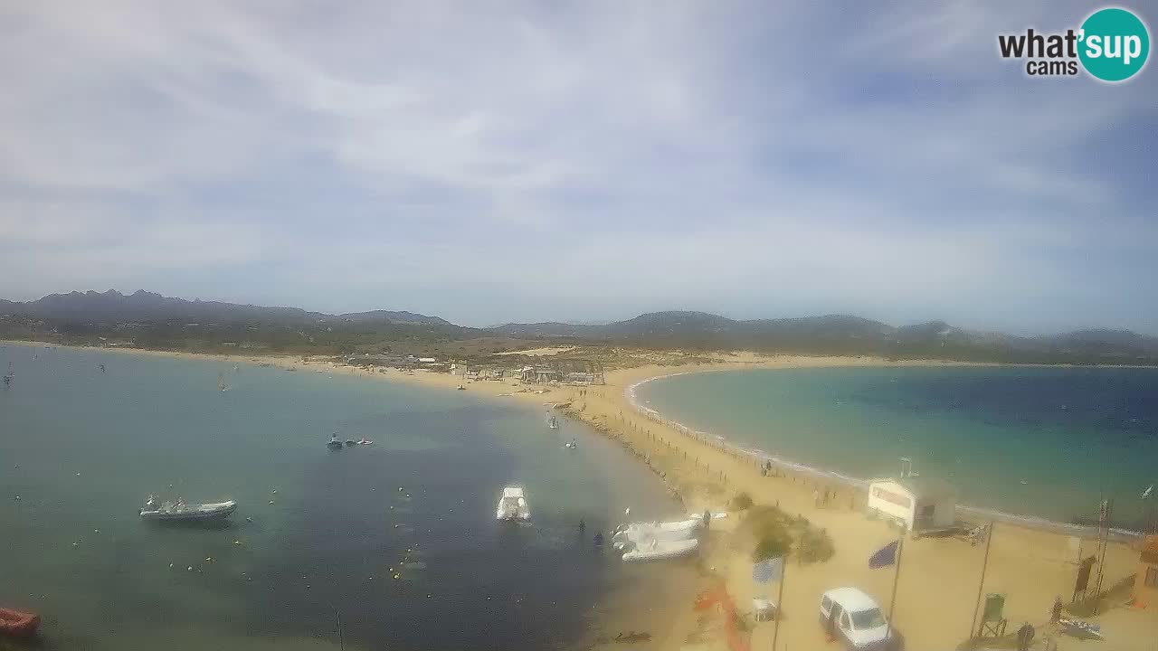 L’Isuledda webcam Isola dei Gabbiani – Porto Pollo – Palau – Sardegna