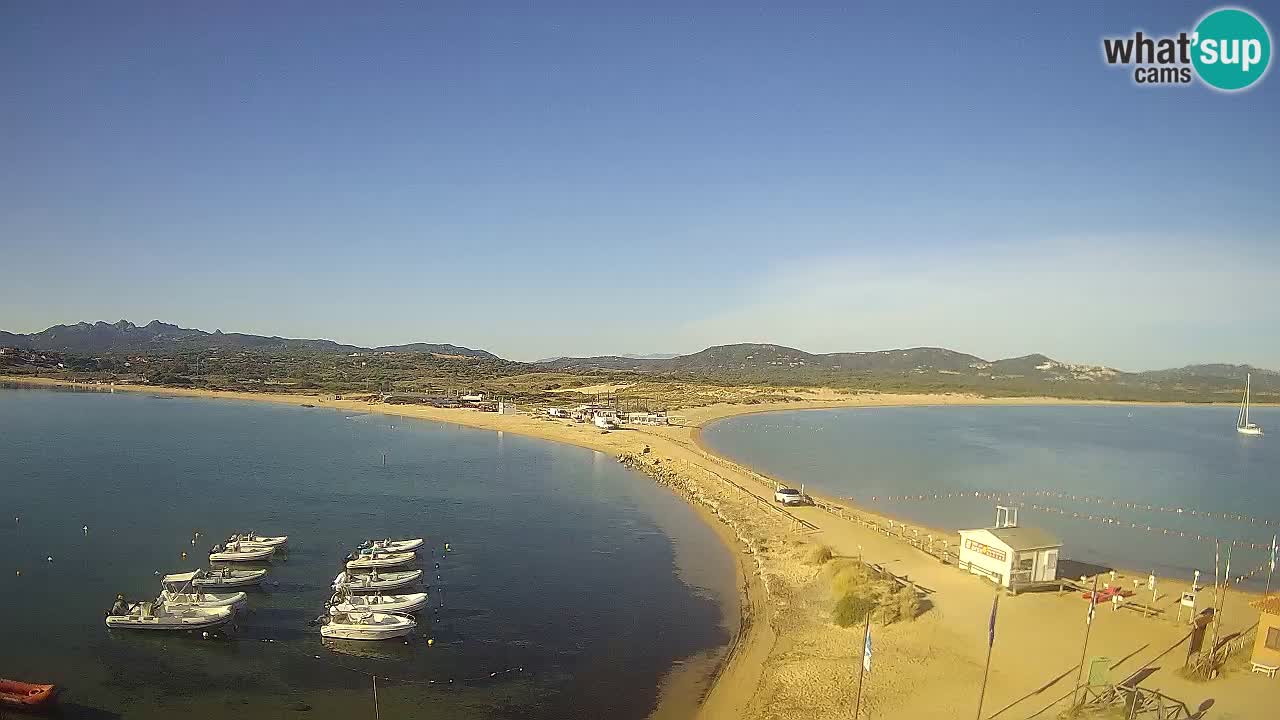 L’Isuledda webcam Isola dei Gabbiani – Porto Pollo – Palau – Cerdeña – Italia