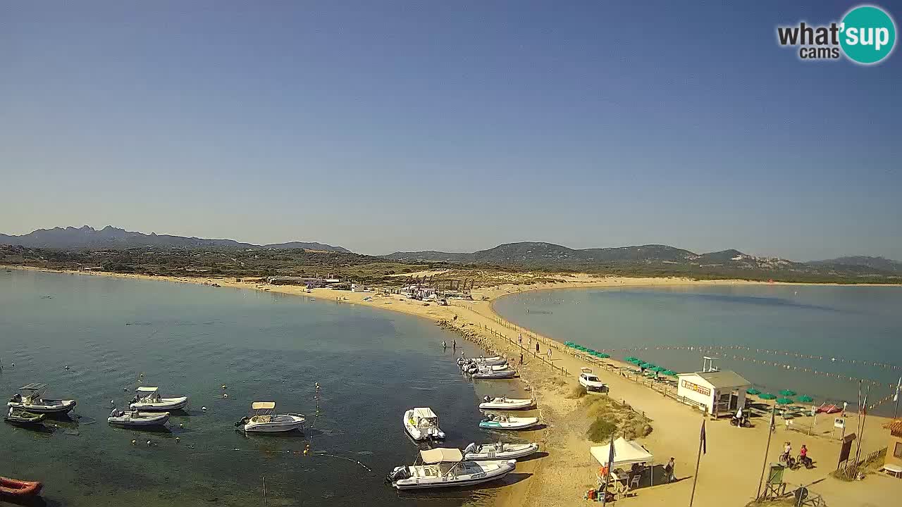 Livecam l’Isuledda – Isola dei Gabbiani – Porto Pollo – Palau – Sardaigne – Italie
