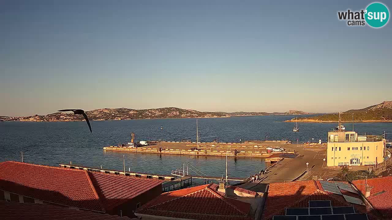 Isuledda en vivo Porto Pollo Isola dei Gabbiani – Kitesurf Side – Palau – Cerdeña – Italia