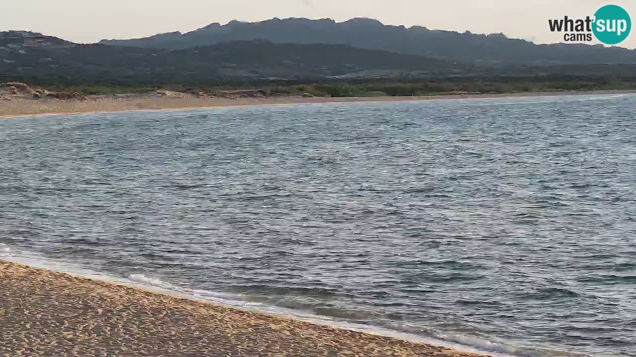 Web Kamera Isola dei Gabbiani – Wind bar – Porto Pollo – Palau – Sardinja – Italija