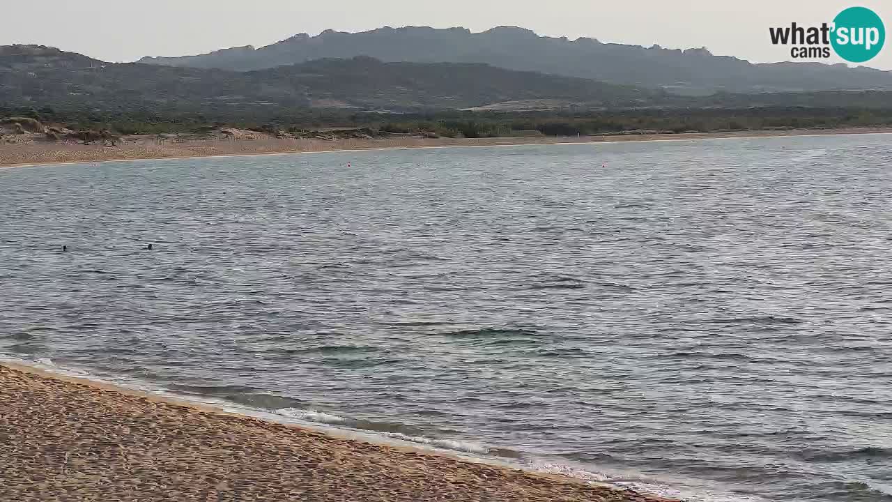 Isuledda webcam Porto Pollo Isola dei Gabbiani – Kitesurf Side – Palau – Sardaigne – Italie