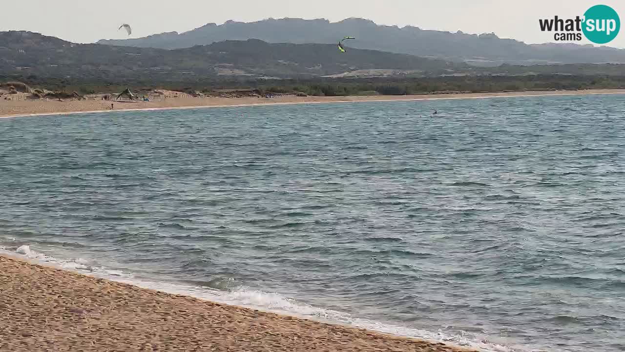 Isuledda en vivo Porto Pollo Isola dei Gabbiani – Kitesurf Side – Palau – Cerdeña – Italia