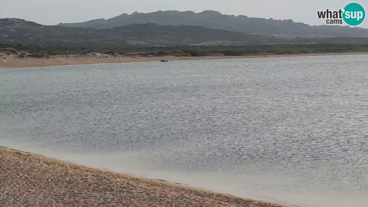 Isuledda en vivo Porto Pollo Isola dei Gabbiani – Kitesurf Side – Palau – Cerdeña – Italia