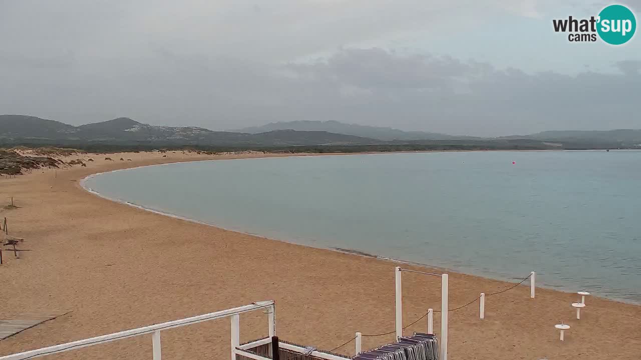 Isuledda en vivo Porto Pollo Isola dei Gabbiani – Kitesurf Side – Palau – Cerdeña – Italia