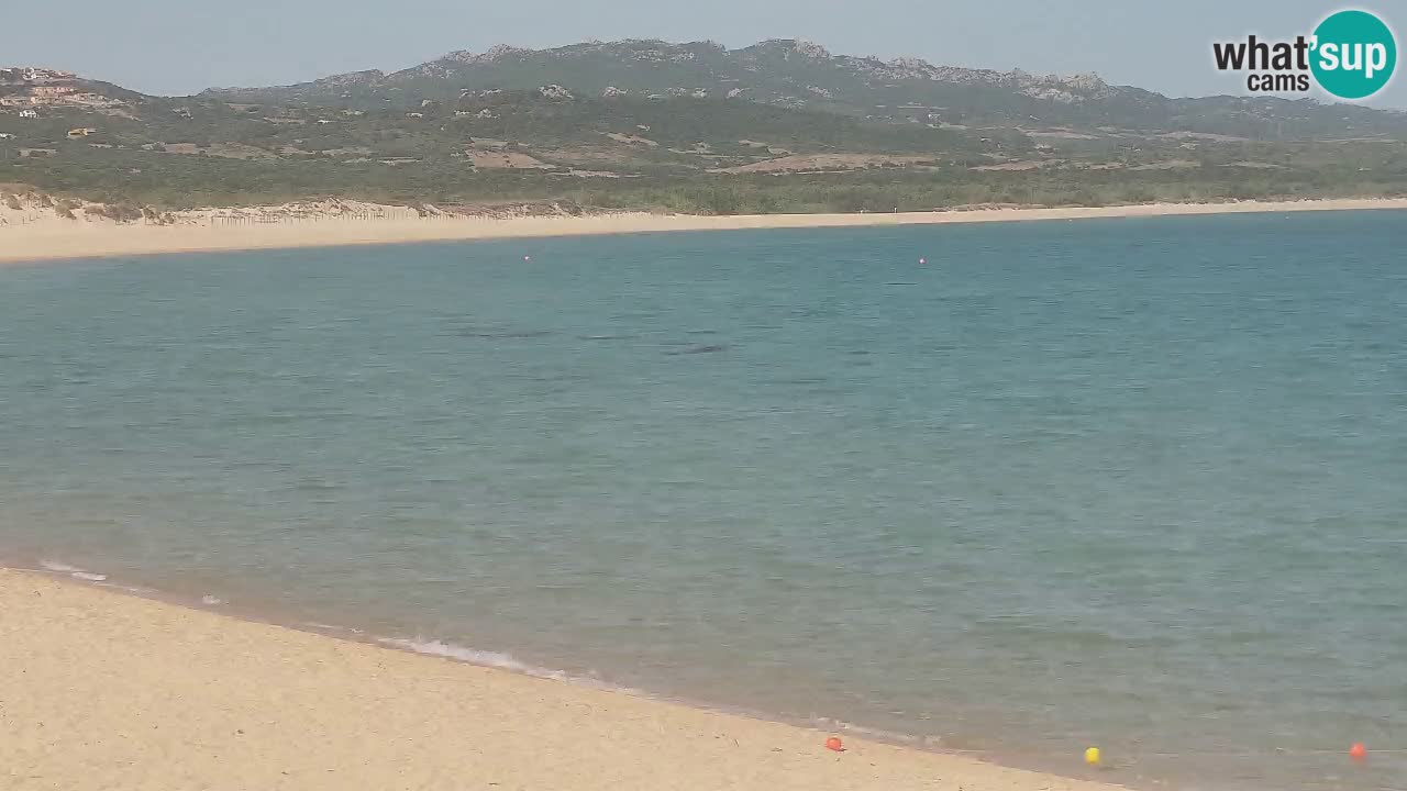 Web Kamera Isola dei Gabbiani – Wind bar – Porto Pollo – Palau – Sardinja – Italija