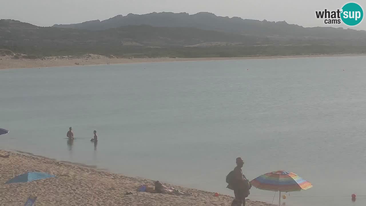 Isuledda en vivo Porto Pollo Isola dei Gabbiani – Kitesurf Side – Palau – Cerdeña – Italia