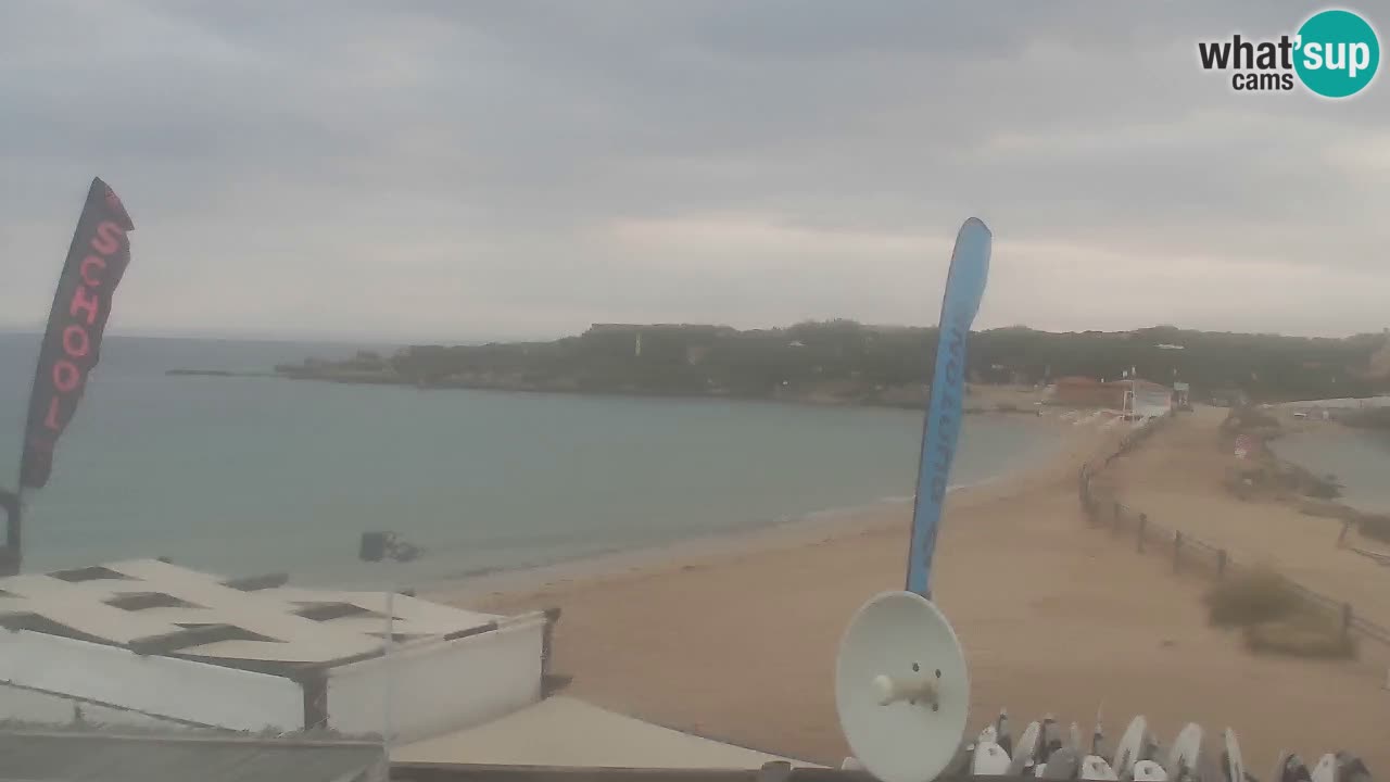 Isuledda en vivo Porto Pollo Isola dei Gabbiani – Kitesurf Side – Palau – Cerdeña – Italia