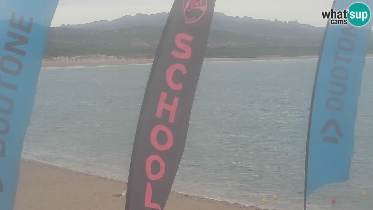 Isuledda v živo Porto Pollo – Isola dei Gabbiani – Kitesurf side – Palau – Sardinija – Italija