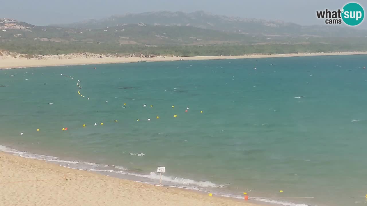 Isuledda en vivo Porto Pollo Isola dei Gabbiani – Kitesurf Side – Palau – Cerdeña – Italia