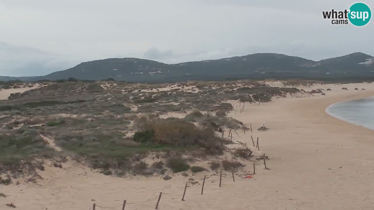 Isuledda webcam Porto Pollo Isola dei Gabbiani – Palau – Sardinia – Italy – Kitesurf Side