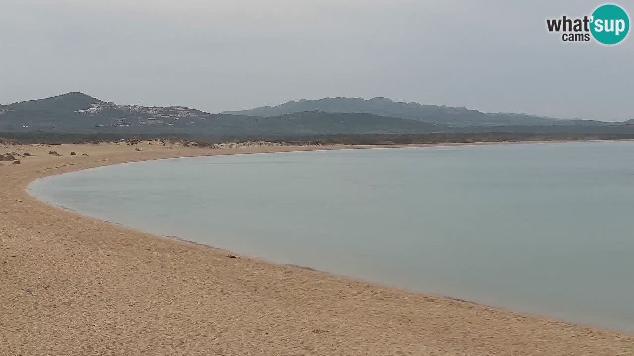 Isuledda v živo Porto Pollo – Isola dei Gabbiani – Kitesurf side – Palau – Sardinija – Italija