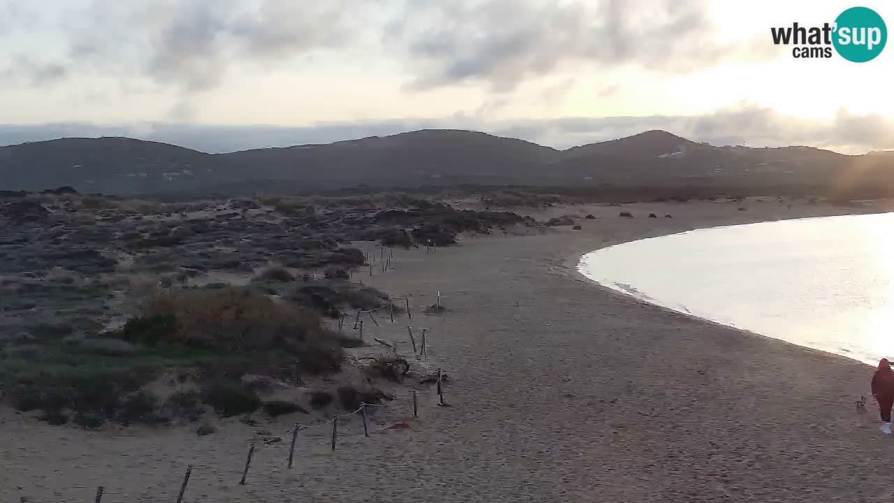 Isuledda en vivo Porto Pollo Isola dei Gabbiani – Kitesurf Side – Palau – Cerdeña – Italia