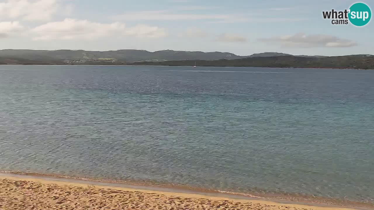 Camera en vivo Isola dei Gabbiani – Wind bar – Porto Pollo – Palau – Cerdeña – Italia
