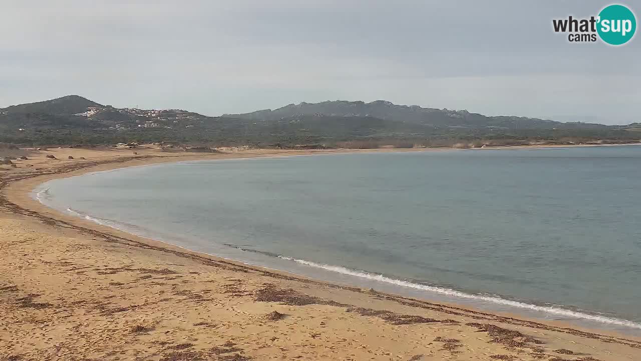 Isuledda en vivo Porto Pollo Isola dei Gabbiani – Kitesurf Side – Palau – Cerdeña – Italia