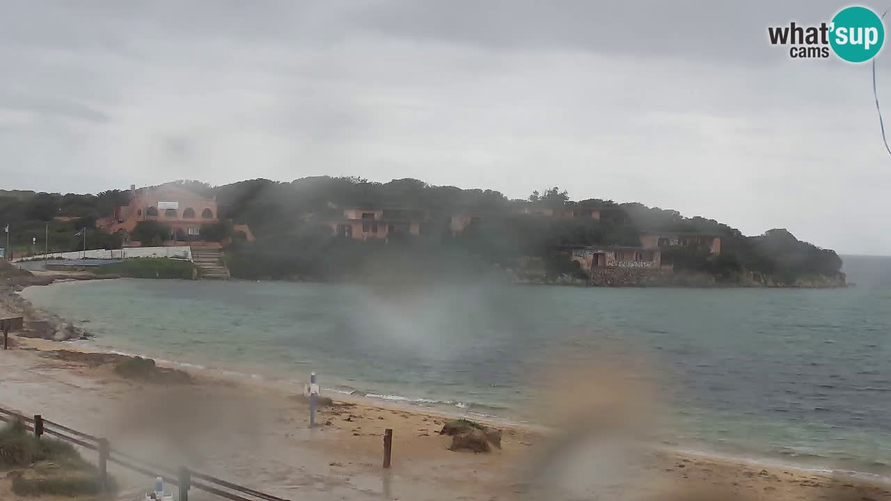 Isuledda en vivo Porto Pollo Isola dei Gabbiani – Kitesurf Side – Palau – Cerdeña – Italia