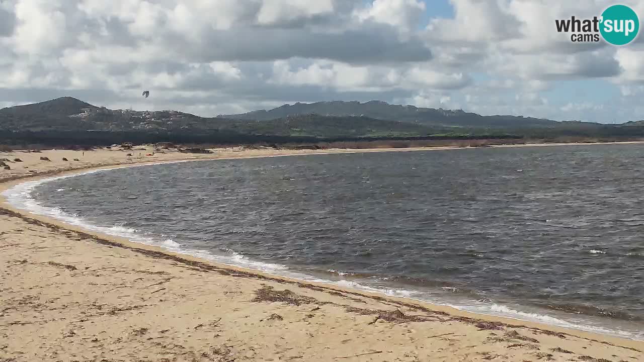 Isuledda en vivo Porto Pollo Isola dei Gabbiani – Kitesurf Side – Palau – Cerdeña – Italia