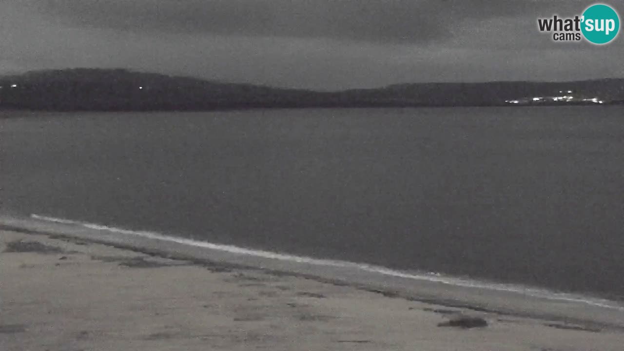 Isuledda webcam Porto Pollo Isola dei Gabbiani – Kitesurf side – Palau – Sardegna