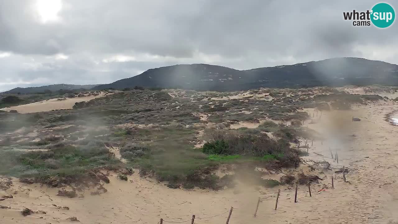Isuledda webcam Porto Pollo Isola dei Gabbiani – Kitesurf Side – Palau – Sardaigne – Italie