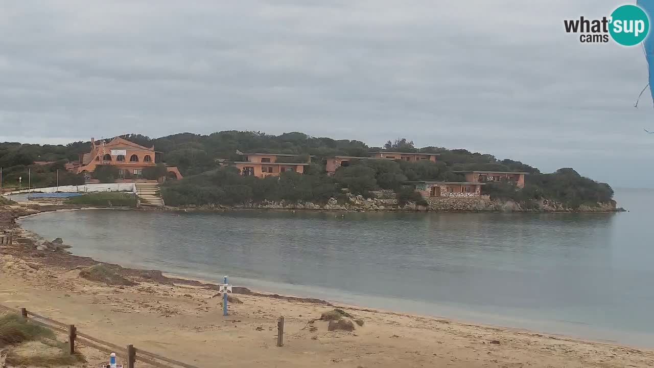 Isuledda v živo Porto Pollo – Isola dei Gabbiani – Kitesurf side – Palau – Sardinija – Italija