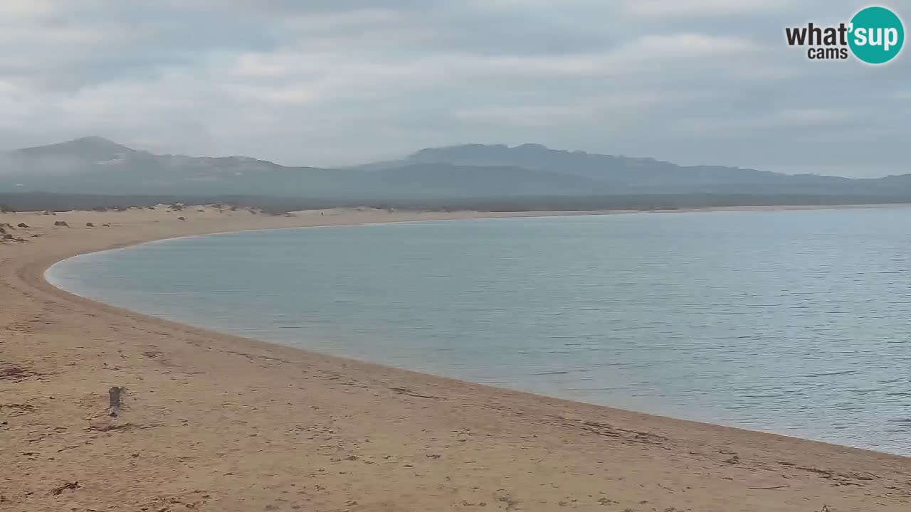 Isuledda webcam Porto Pollo Isola dei Gabbiani – Palau – Sardinia – Italy – Kitesurf Side