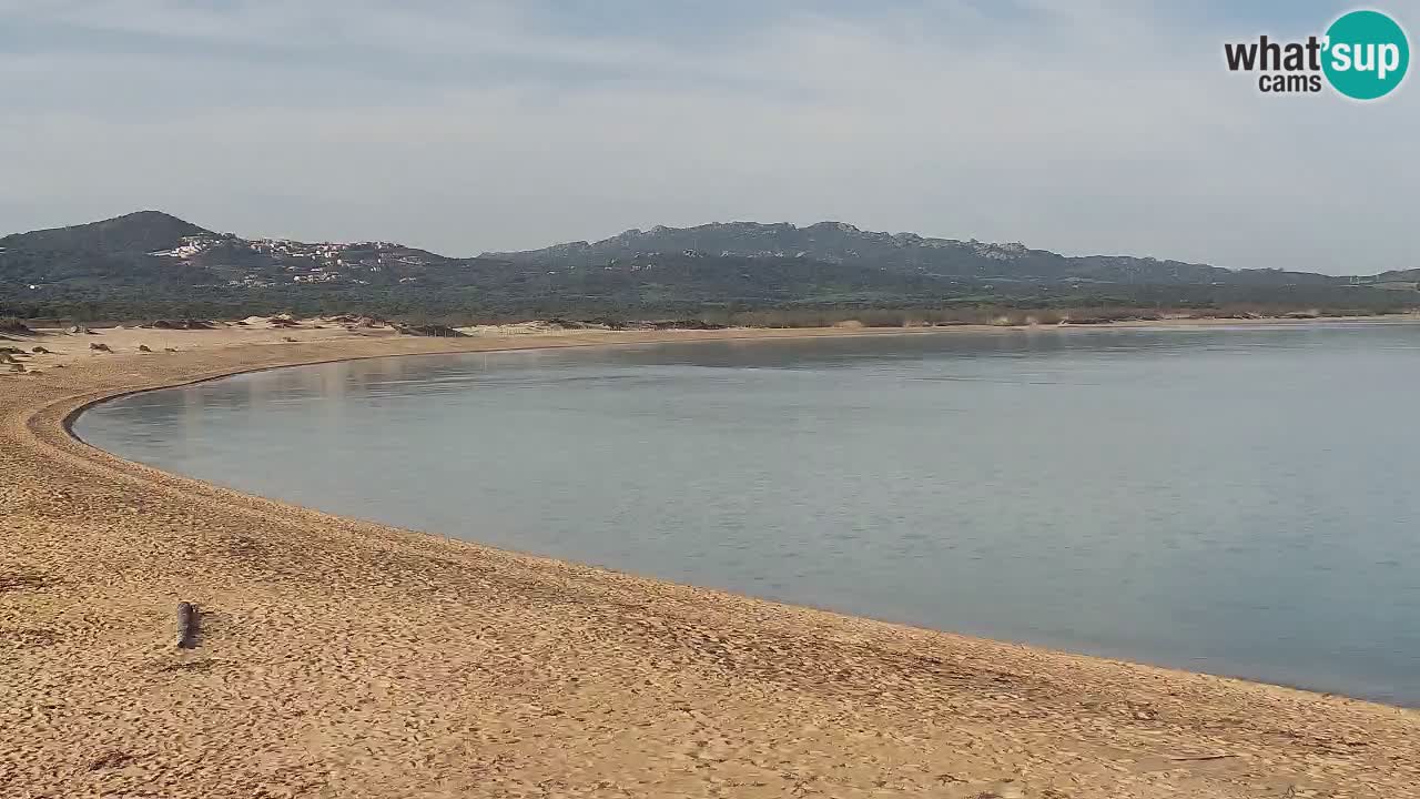 Isuledda v živo Porto Pollo – Isola dei Gabbiani – Kitesurf side – Palau – Sardinija – Italija