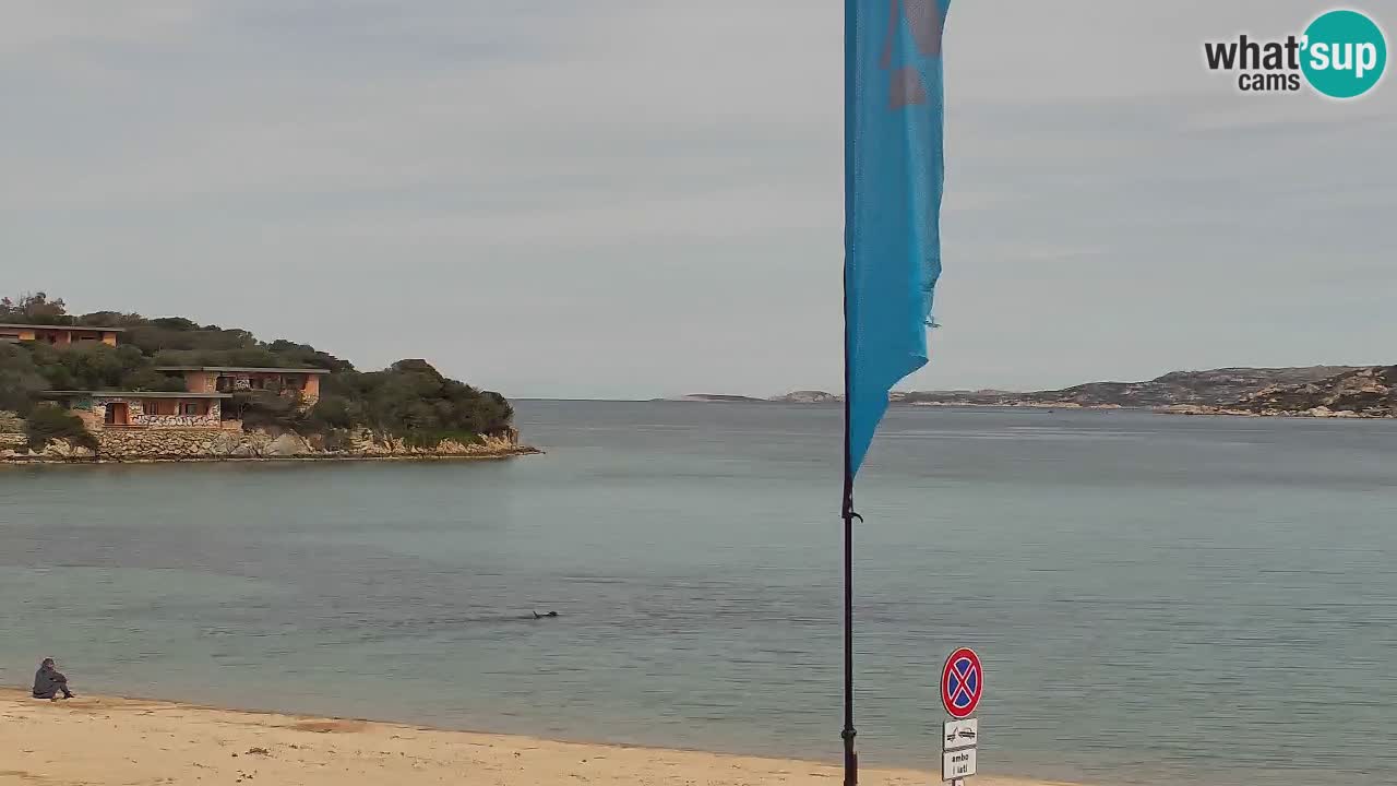Isuledda webcam Porto Pollo Isola dei Gabbiani – Kitesurf Side – Palau – Sardinien – Italien