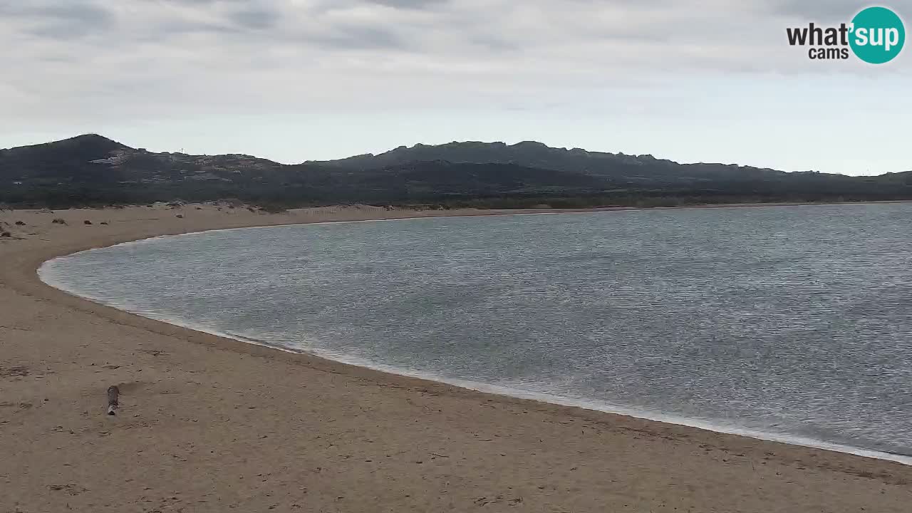 Isuledda en vivo Porto Pollo Isola dei Gabbiani – Kitesurf Side – Palau – Cerdeña – Italia