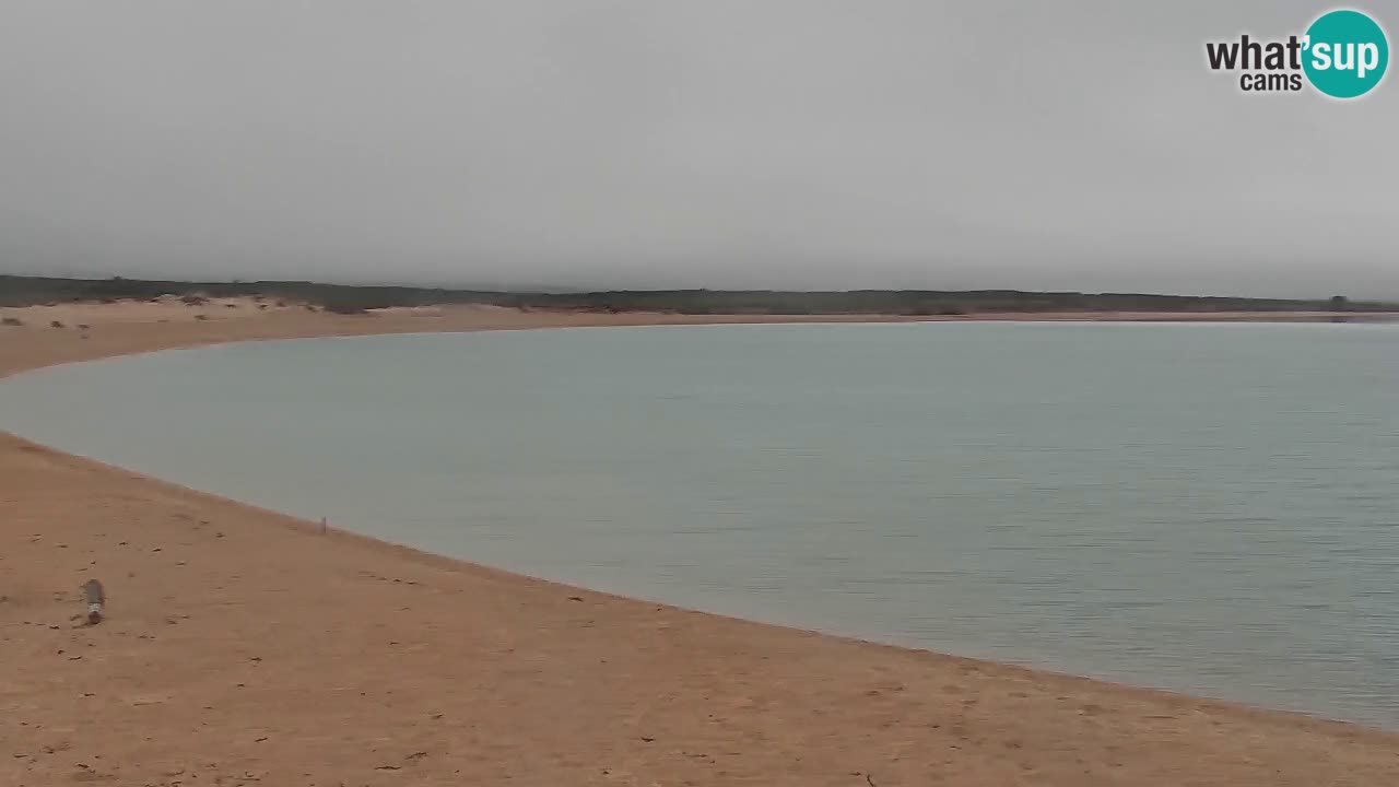 Isuledda webcam Porto Pollo Isola dei Gabbiani – Kitesurf Side – Palau – Sardinien – Italien