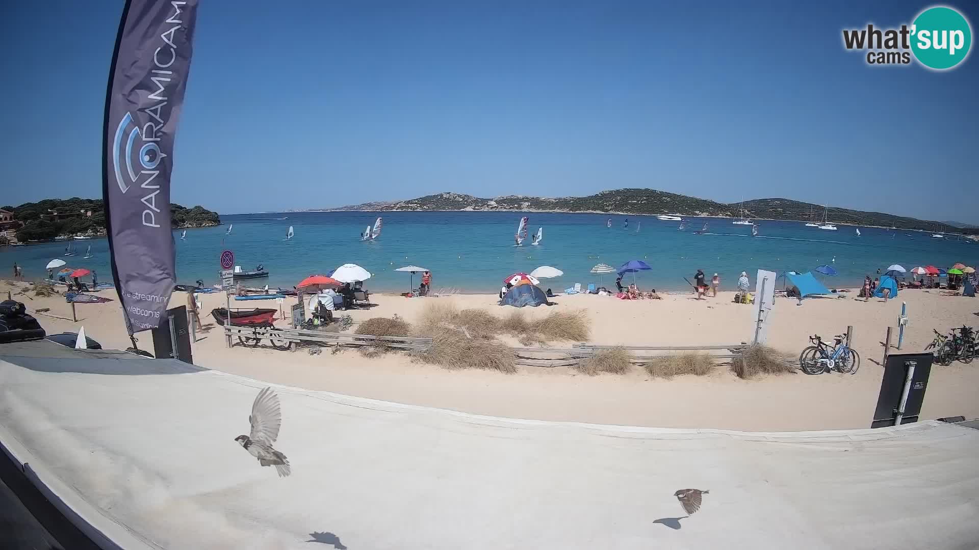 Porto Pollo Windsurfing and Kite surfing live webcam – Sardinia – Italy
