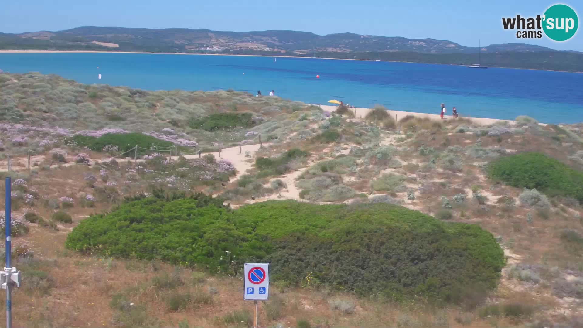 Webcam Strand Porto Pollo – Rupi’s