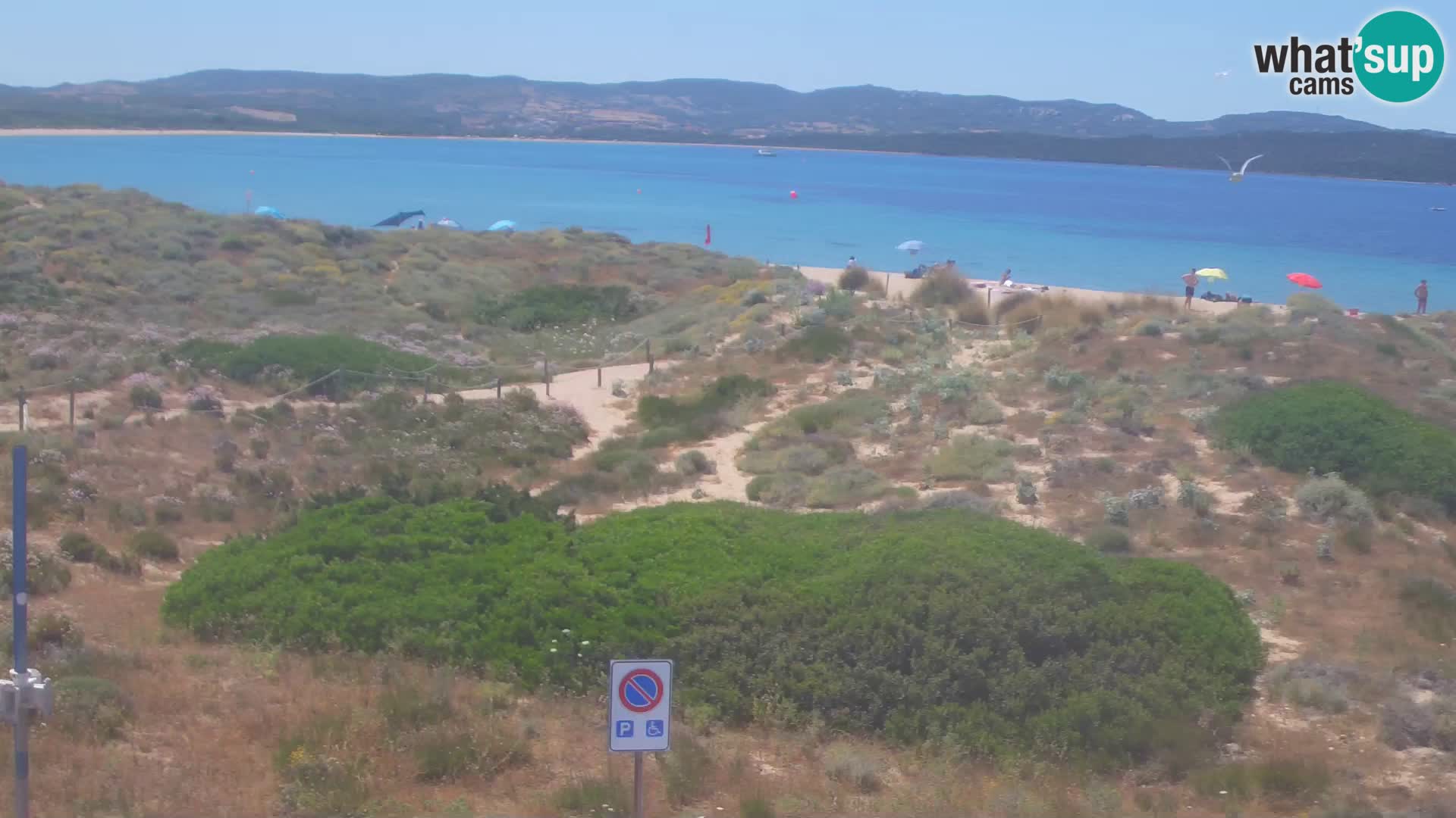 Webcam Strand Porto Pollo – Rupi’s
