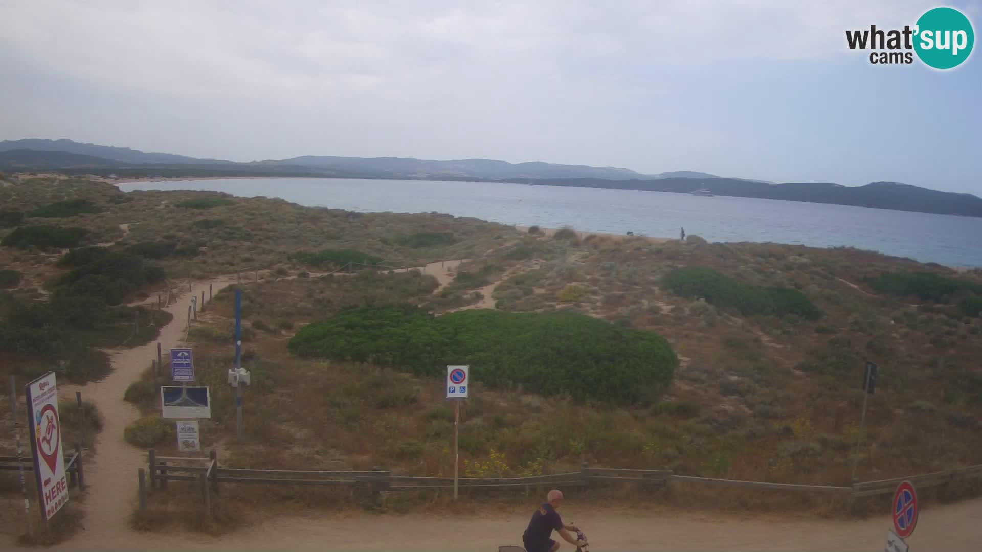 Webcam spiaggia Porto Pollo – Rupi’s bar