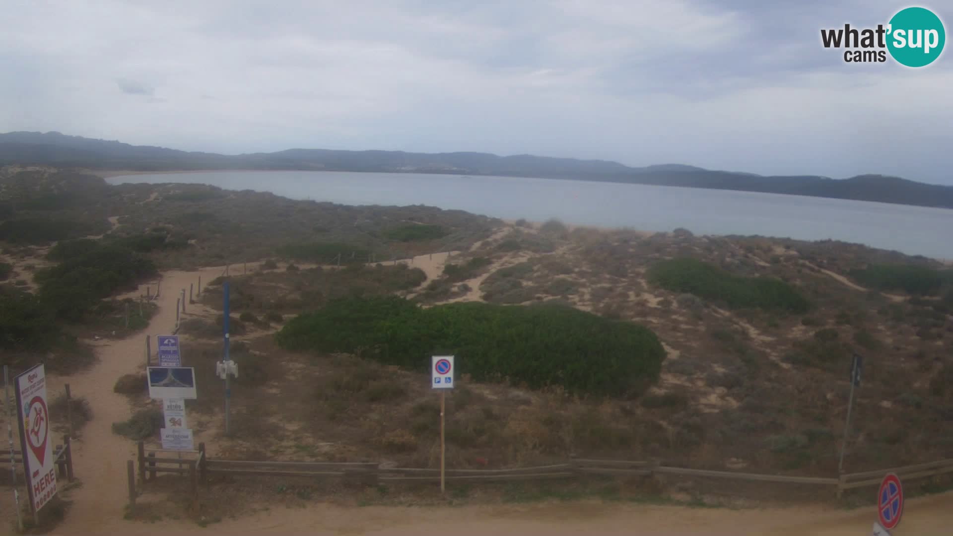 Webcam spiaggia Porto Pollo – Rupi’s bar