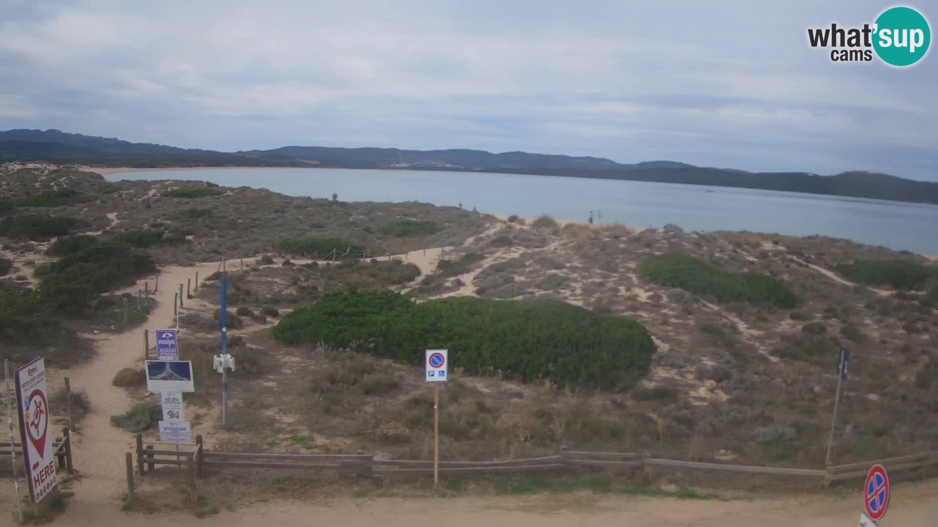 Webcam spiaggia Porto Pollo – Rupi’s bar