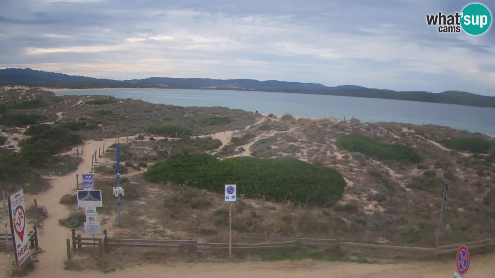 Webcam Strand Porto Pollo – Rupi’s