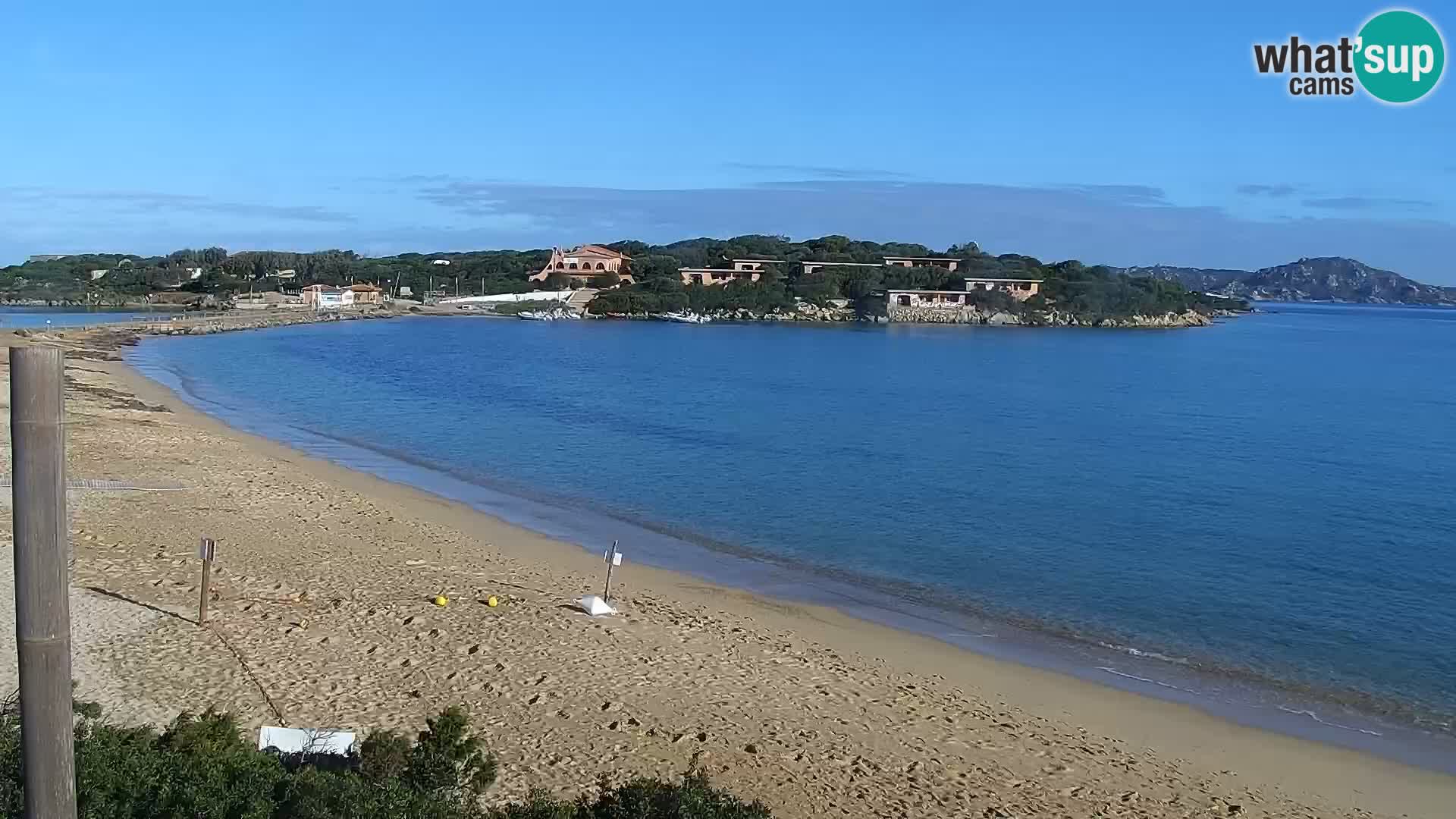 Webcam Strand Porto Pollo – Rupi’s