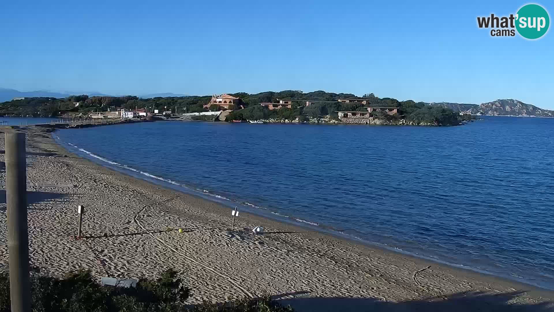 Webcam Strand Porto Pollo – Rupi’s