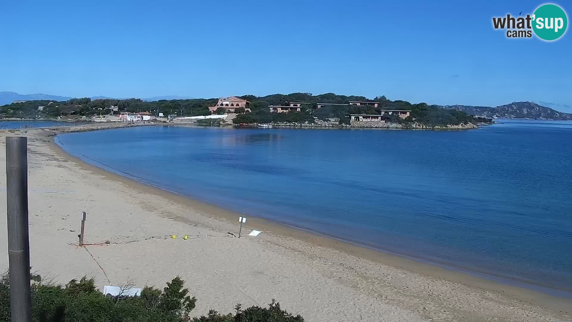 Webcam Strand Porto Pollo – Rupi’s