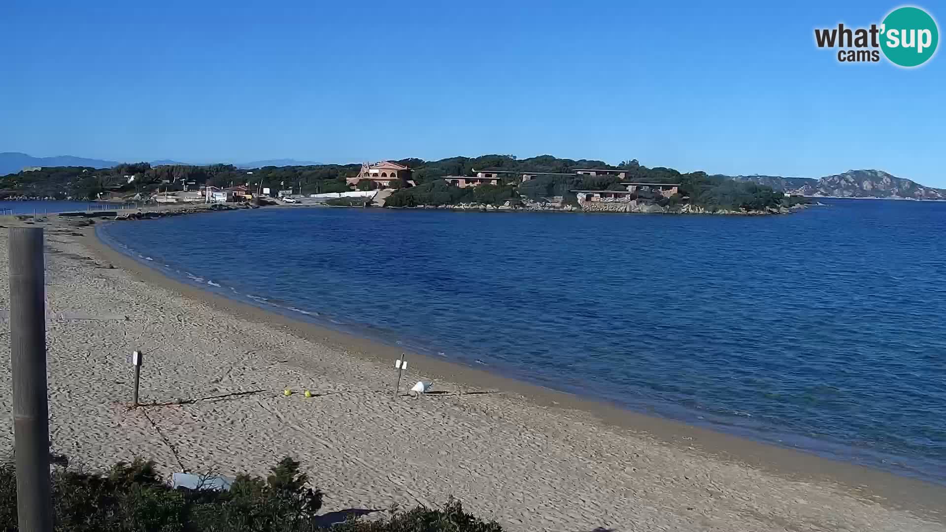 Web kamera plaža Porto Pollo – Rupi’s