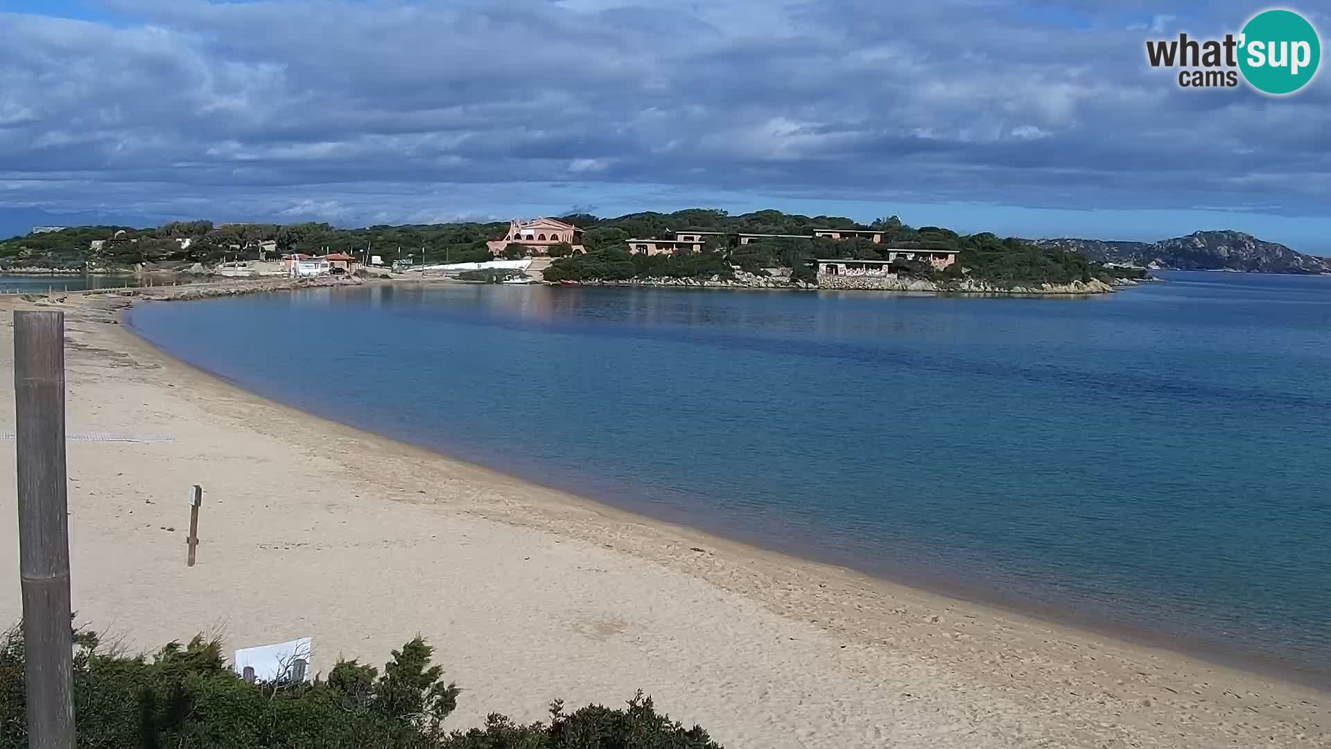 Webcam spiaggia Porto Pollo – Rupi’s bar