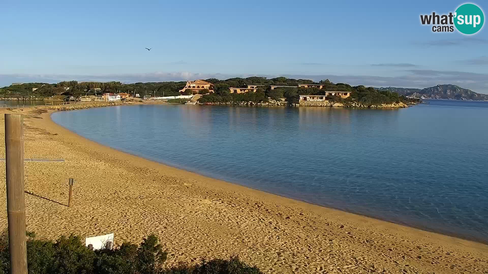 Webcam Strand Porto Pollo – Rupi’s